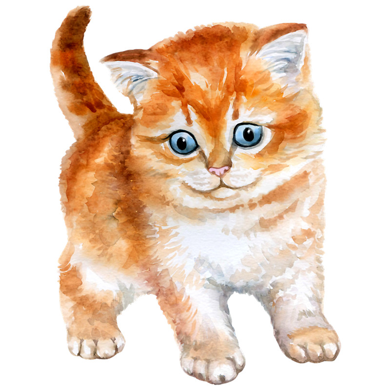 Cat miaw,cat miaw lovers,cute cat lovers(36).png