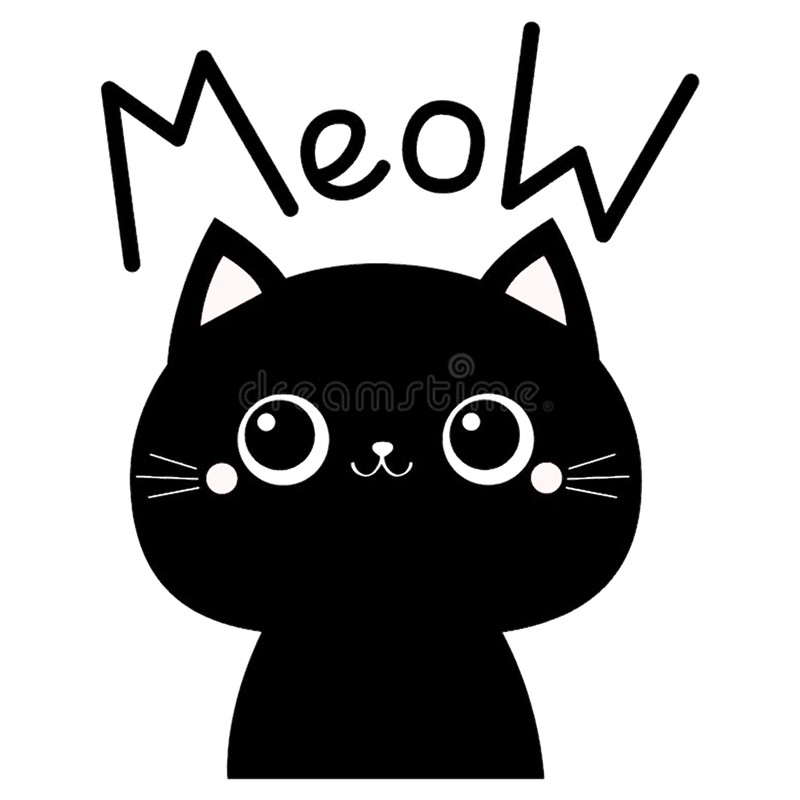 Cute cat miaow .png