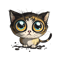 Funny Cat Miaw.png