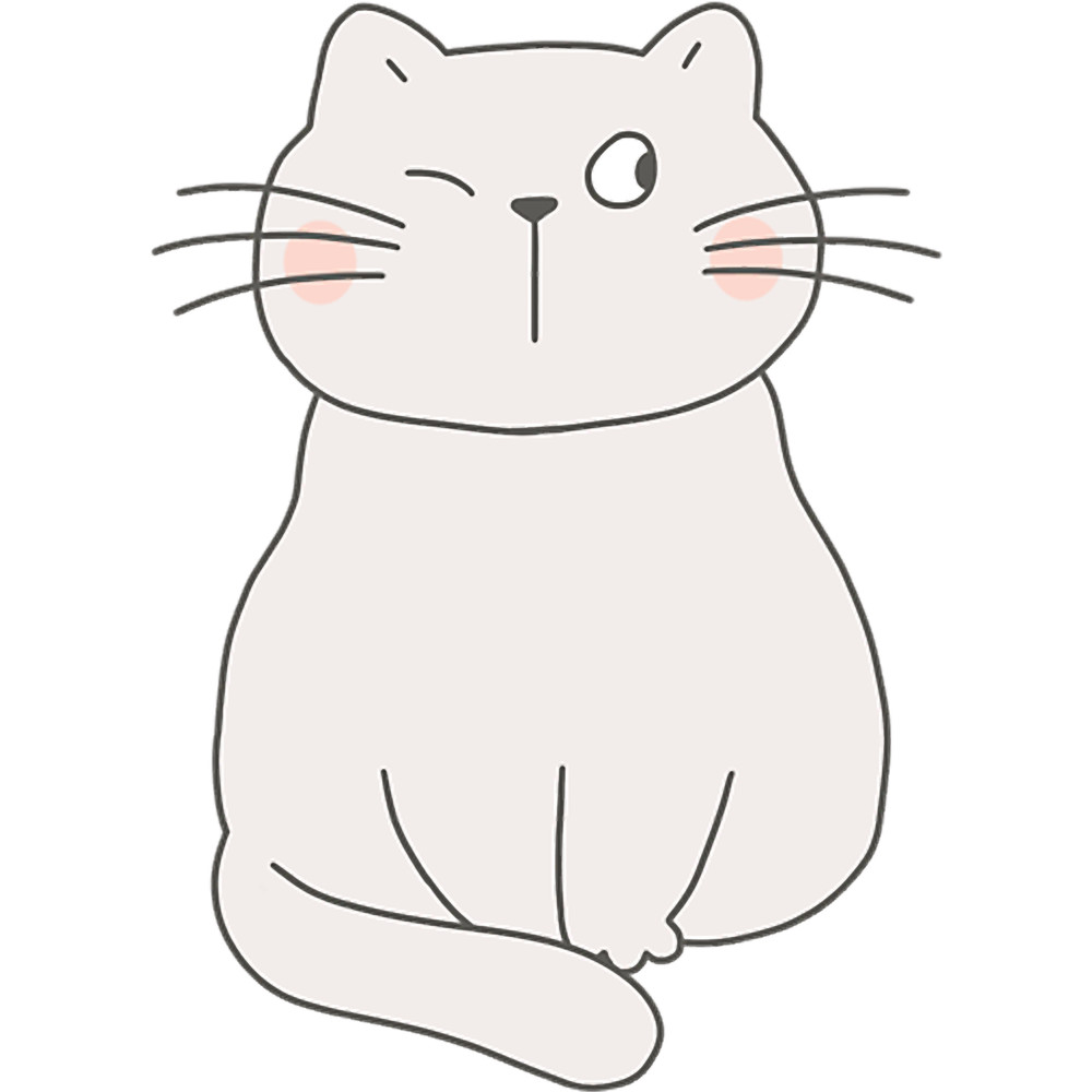 funny cute cat miaw .png