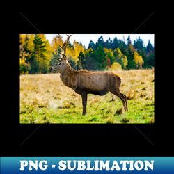 Majestic deer wall art photography - Elegant Sublimation PNG Download - Vibrant and Eye-Catching Typography