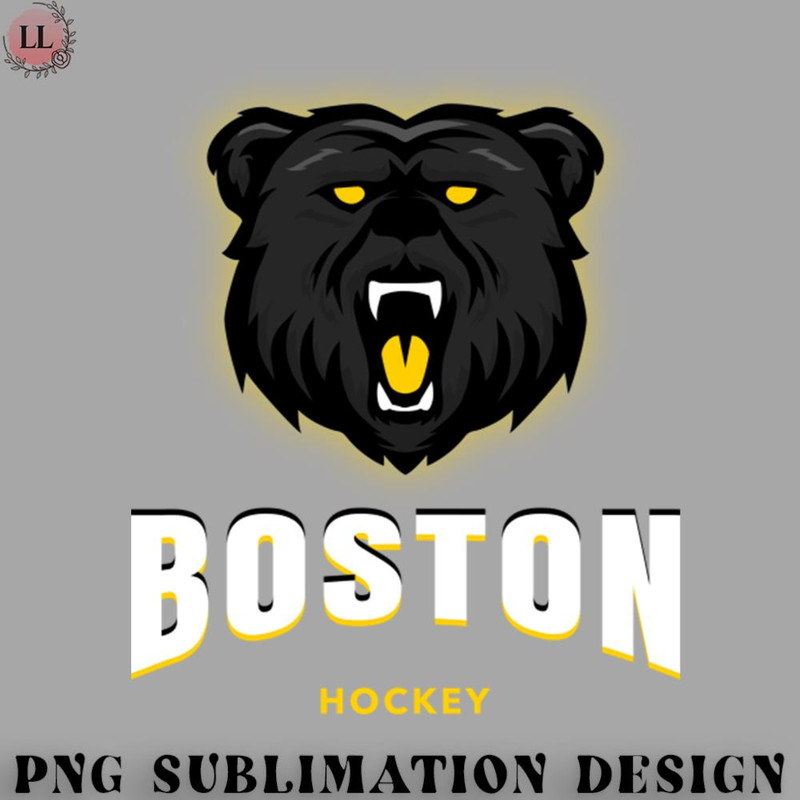 HK0707230950518-Hockey PNG boston bruins hockey.jpg