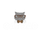CAT DAD .png