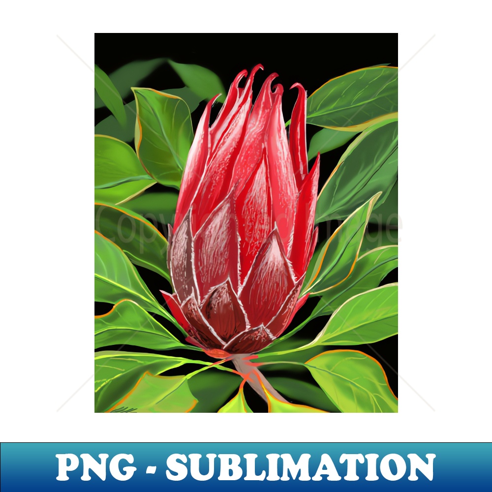 NR-35007_Protea 2258.jpg