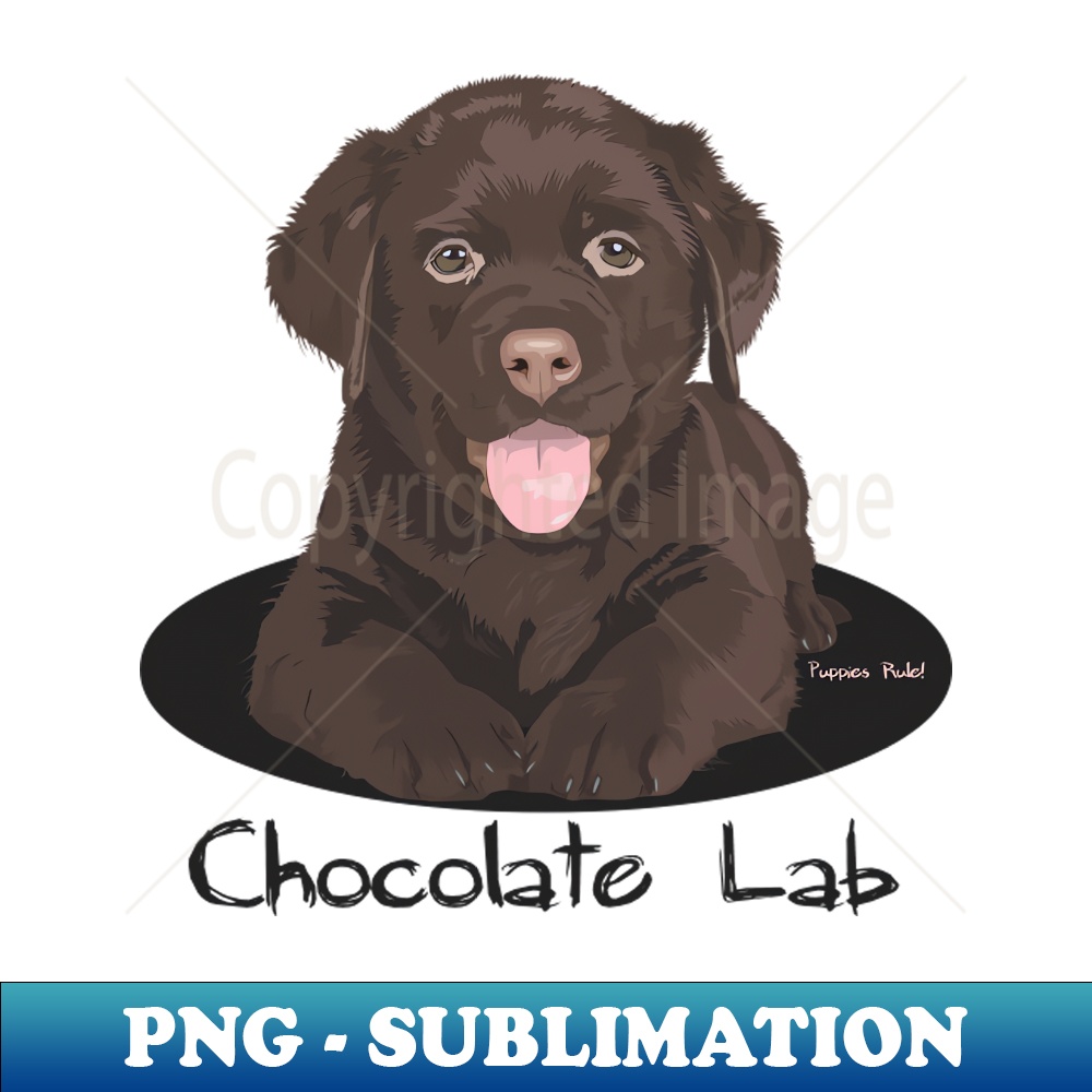 AA-7509_Chocolate Lab Labrador Retriever Puppy Dog Breed Signature Series Puppies Rule 7742.jpg