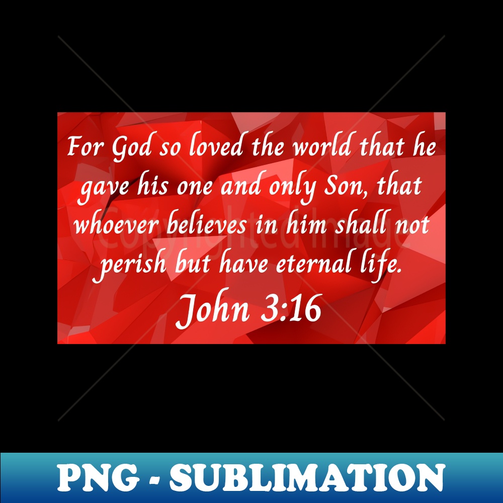 BB-4431_Bible Verse John 316 8158.jpg