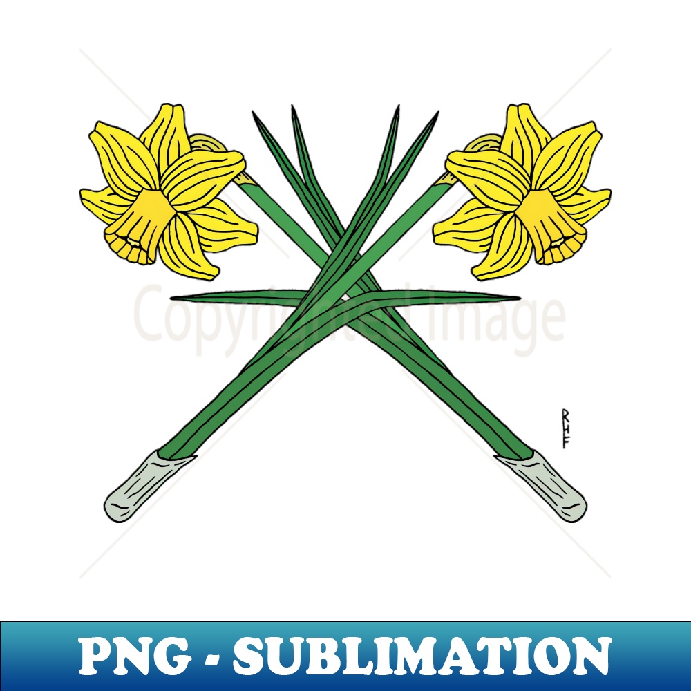 BI-10420_Daffodils Crossed 1219.jpg