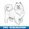 BM-11611_Dog - Samoyed - White 3470.jpg