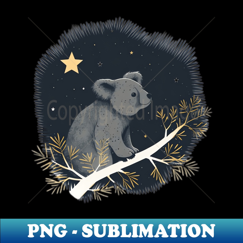 BN-21939_Koala Under the Stars 2503.jpg