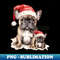 BP-7677_Christmas Bulldogs in Santa Red Hats 7901.jpg
