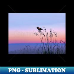 red winged blackbird and evening sky - unique sublimation png download - boost your success with this inspirational png download