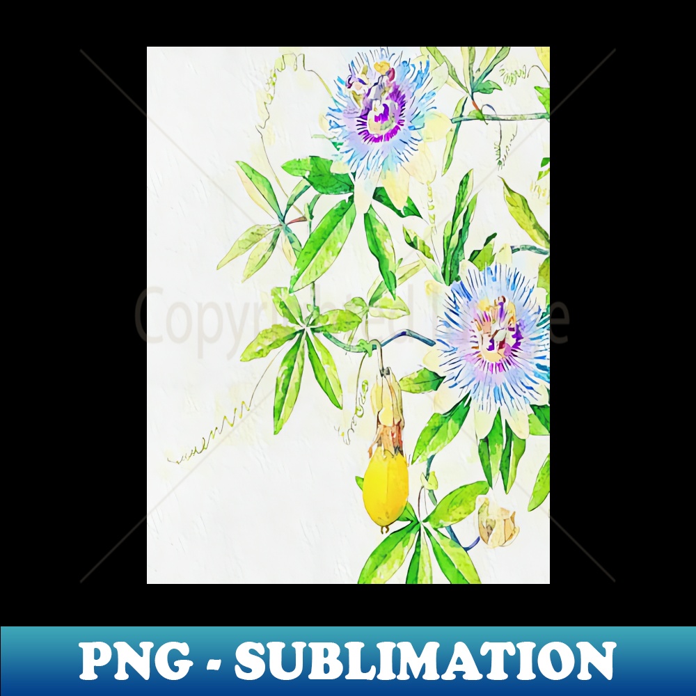 CQ-38373_Vintage Passion Flower Plant 6192.jpg