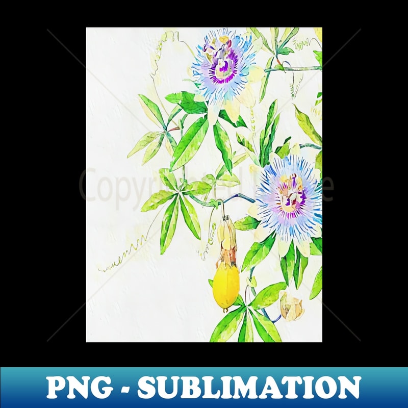 CQ-38373_Vintage Passion Flower Plant 6192.jpg