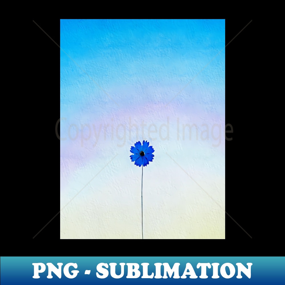 CS-5134_Blue small flower 6214.jpg