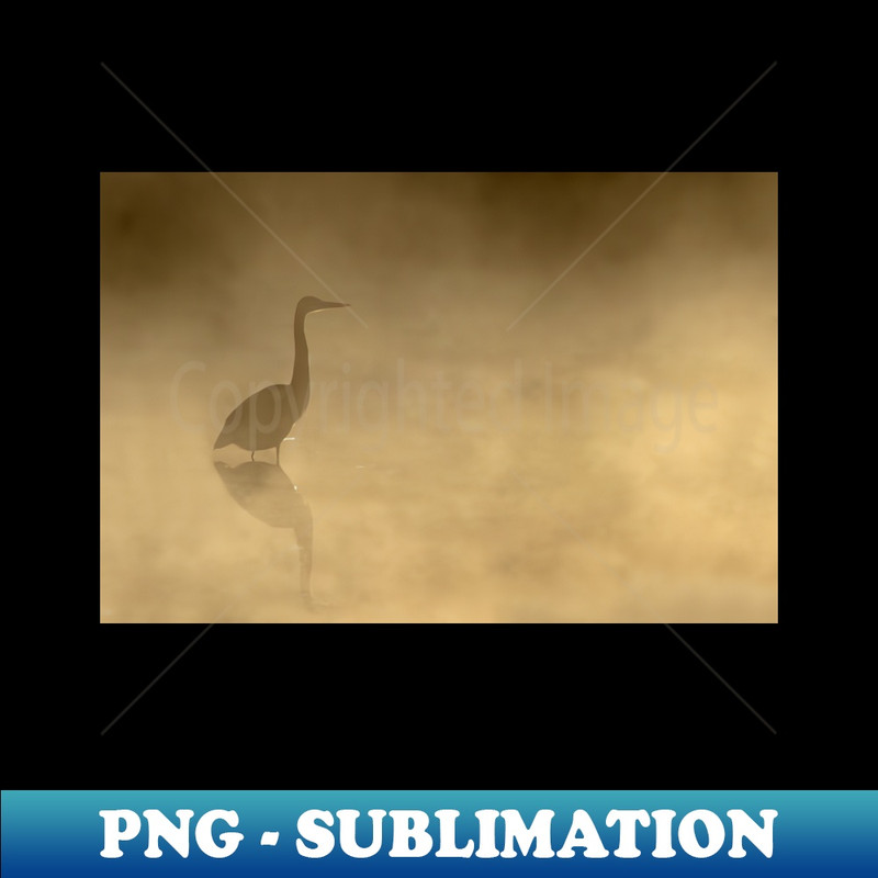 CT-40179_Yellow Mist - Great Blue Heron Algonquin Park 1597.jpg