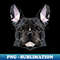 CV-14543_French Bulldog Geometric Portrait - Black 8336.jpg