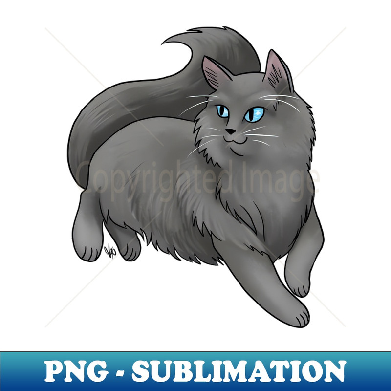 DA-6820_Cat - Ragdoll - Black 1501.jpg