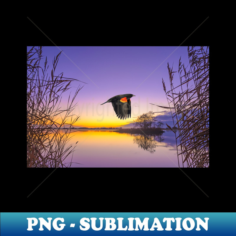 DE-30012_Red Winged Blackbird in Flight 6064.jpg