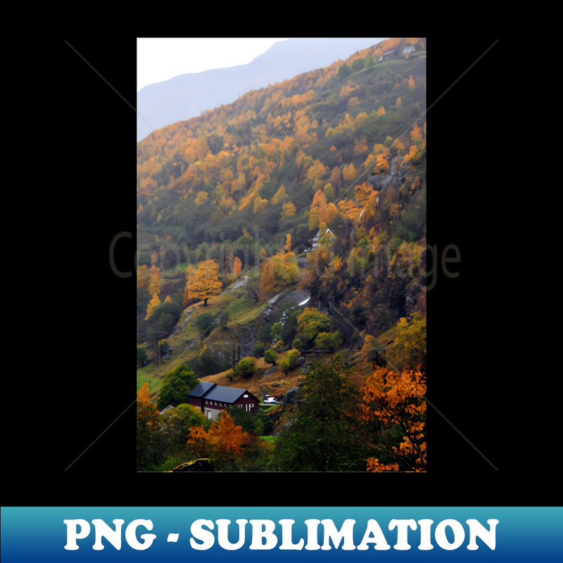 DG-3076_Autumn Trees Flamsdalen Valley Flam Norway 4652.jpg