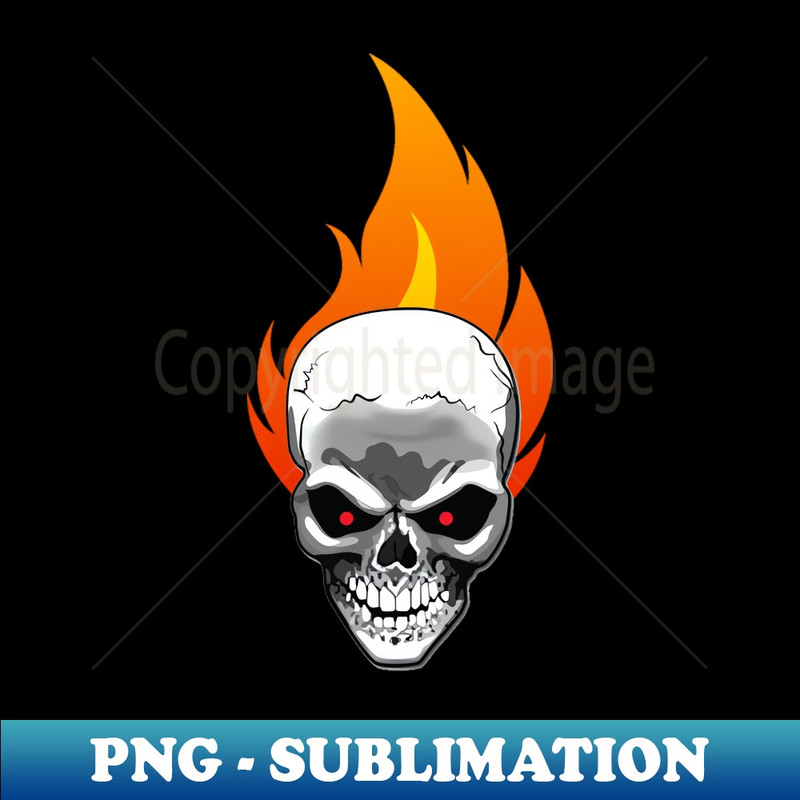 DI-6065_Burning Skull - Burning Man 9214.jpg