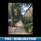DI-6625_Carroll Gardens Quiet Tree-Lined Street 2205.jpg