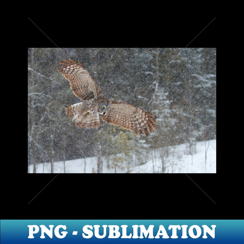 DV-36528_Through the Snow - Great Grey Owl 1690.jpg