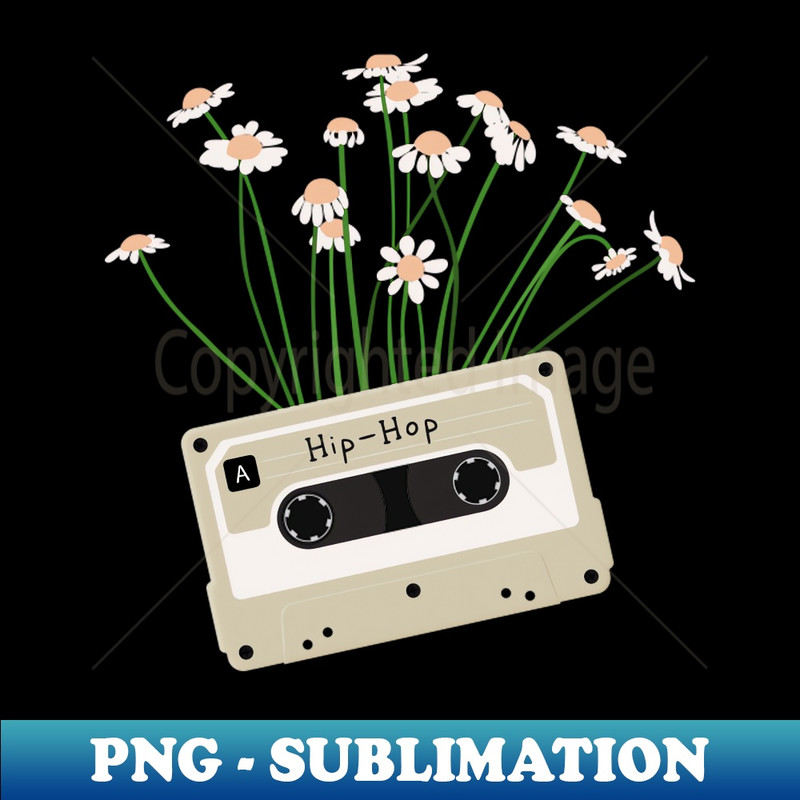 DX-6750_Cassette Tape Hip-Hop Music 6226.jpg