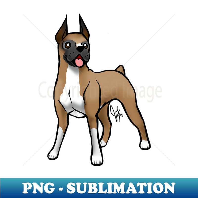 DY-11499_Dog - Boxer - Fawn 9431.jpg