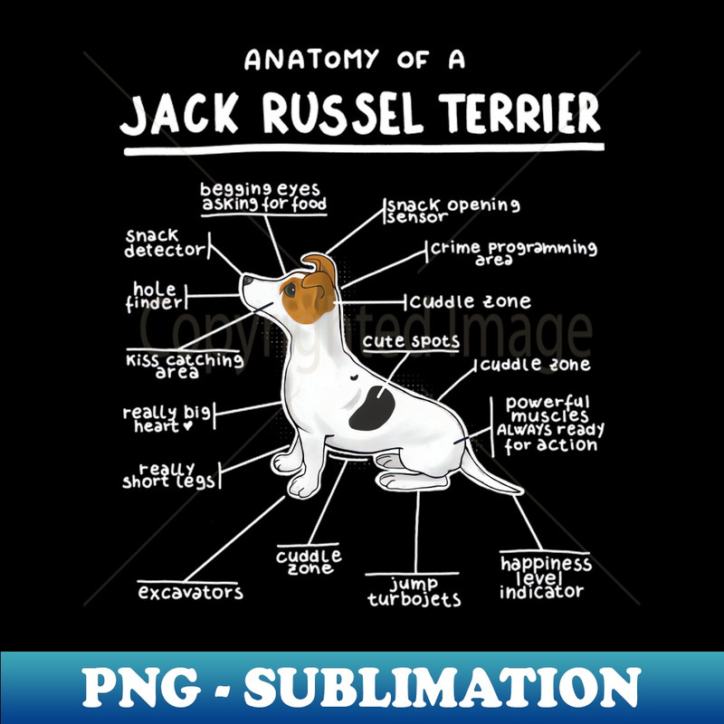 DZ-2183_Anatomy of a Jack Russel Terrier 2156.jpg