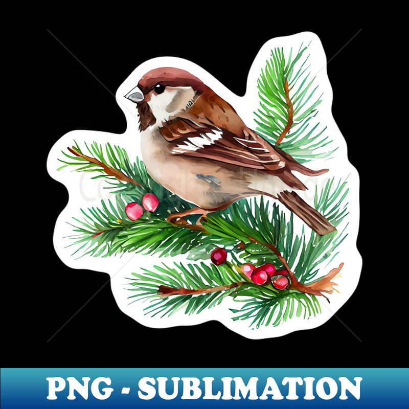 EF-7757_Christmas sparrow 3055.jpg