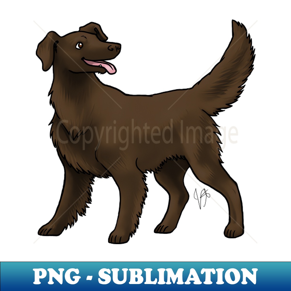 EH-11539_Dog - Flat-Coated Retrievers - Liver 6199.jpg