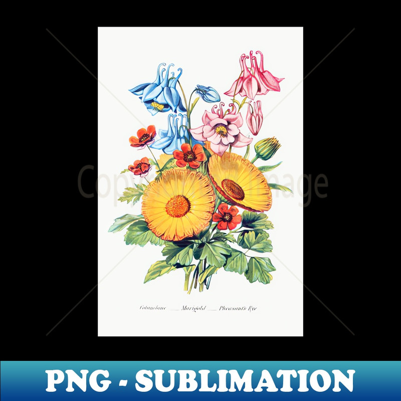 EH-8632_Columbine Marigold and Pheasants Eye from The Language of Flowers 8302.jpg