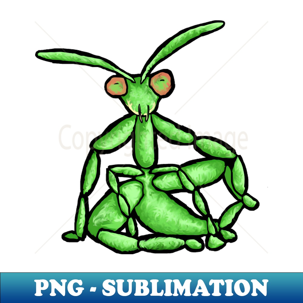 ES-28794_Praying mantis reversed 4669.jpg