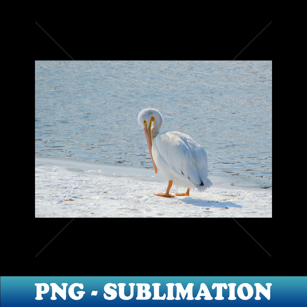 EV-27905_Pelican 1783.jpg