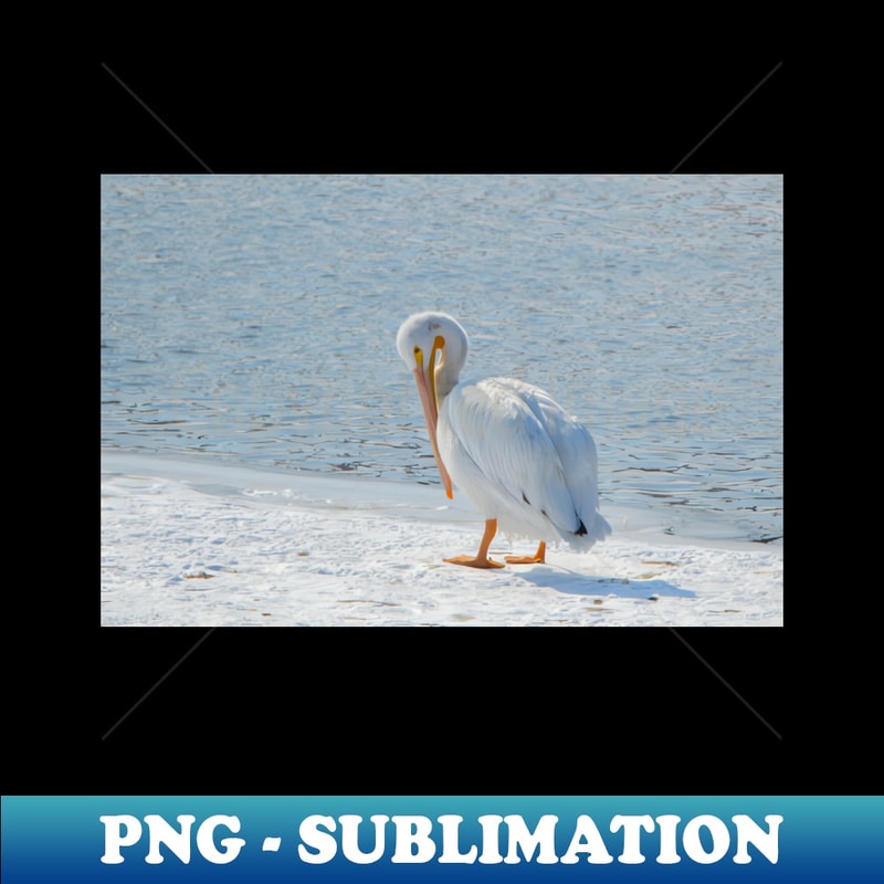 EV-27905_Pelican 1783.jpg