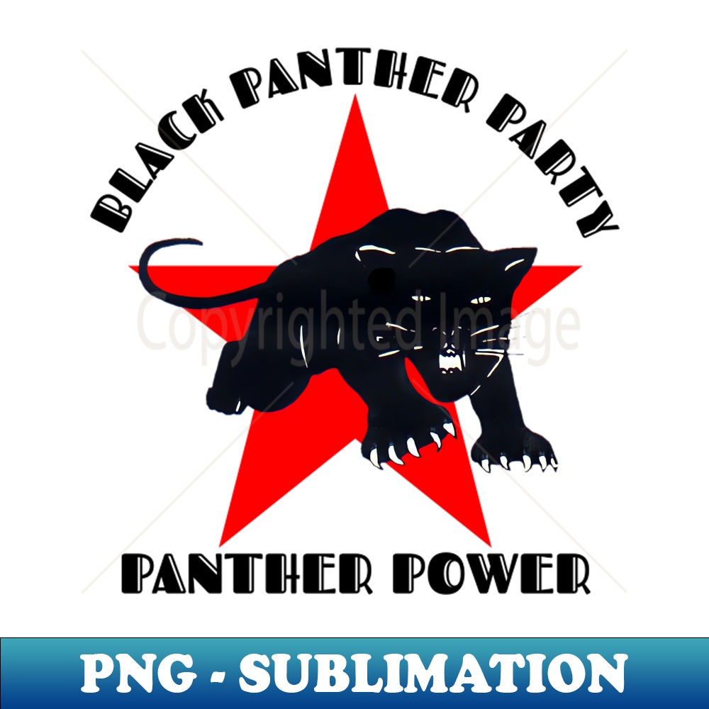 EX-4898_Black panther party t-shirt 8760.jpg