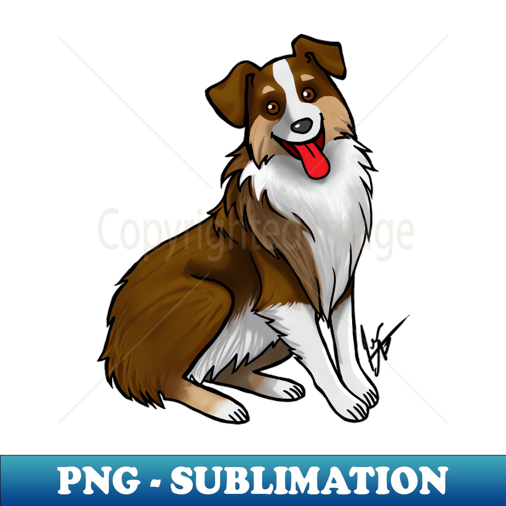 FL-11481_Dog - Australian Shepherd - Tri-Color Liver 5841.jpg