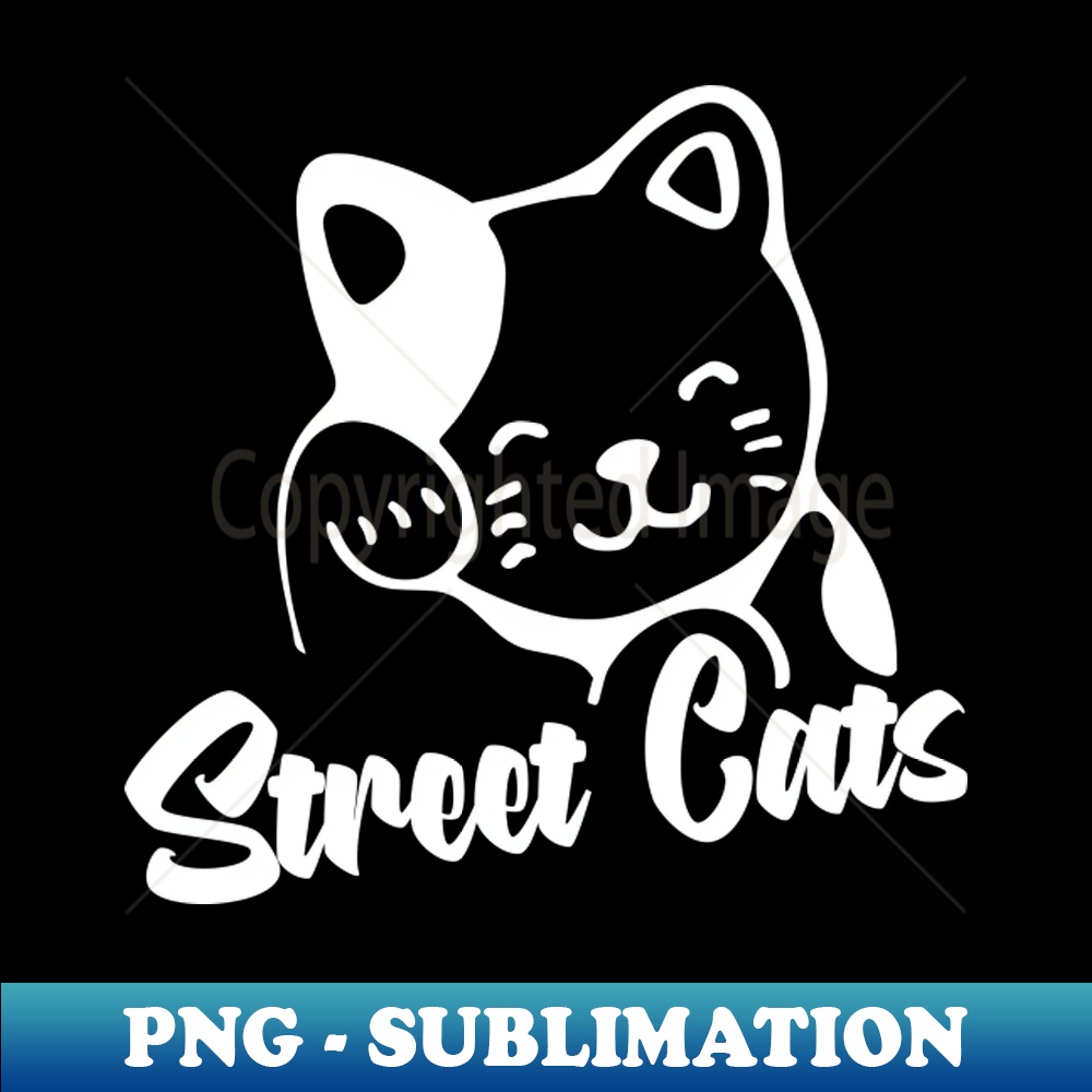 FQ-34062_Street cat 9585.jpg