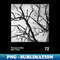 FU-3509_Bare Trees - Fleetwood Mac 7389.jpg