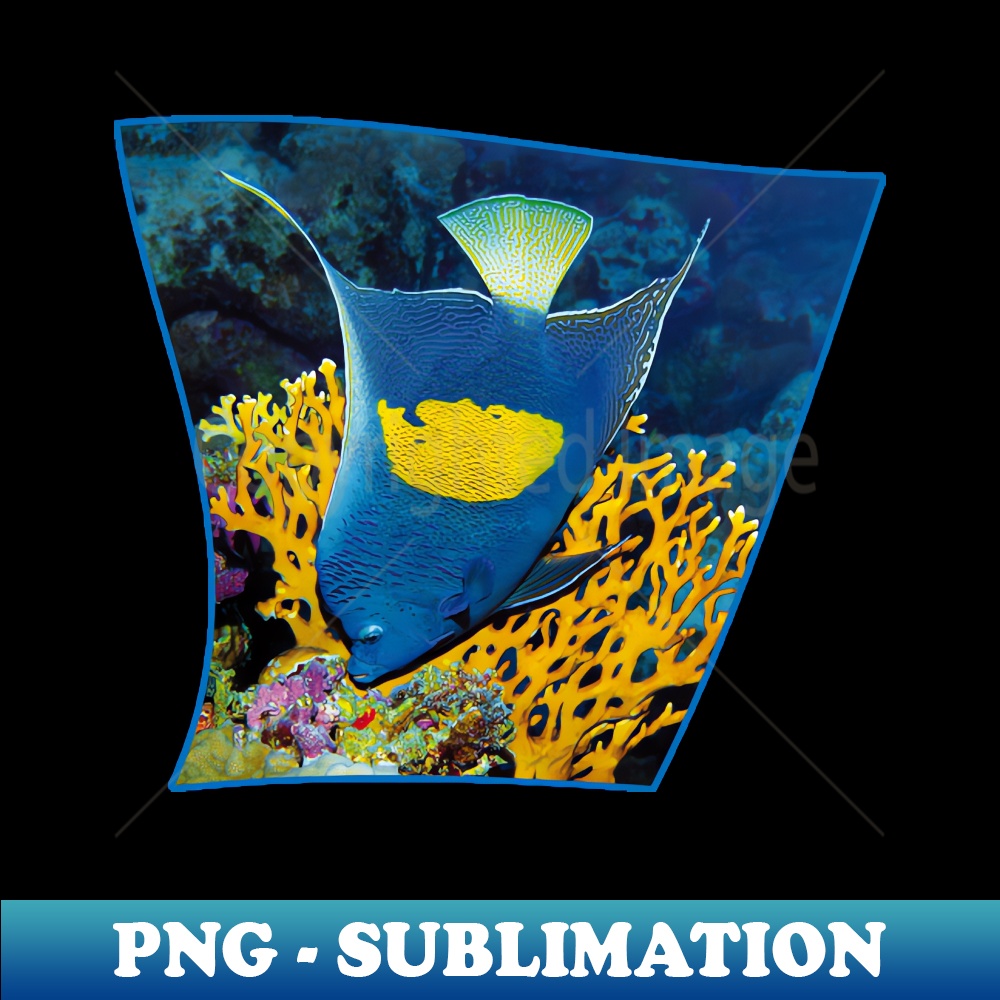 FY-2284_Angelfish I am the emperor in my area 2417.jpg