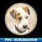 GK-27653_Parson Jack Russell Terrier 2500.jpg