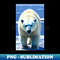 GK-28532_polar bear 9713.jpg