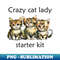 GY-9211_Crazy Cat Lady Starter Kit 1523.jpg