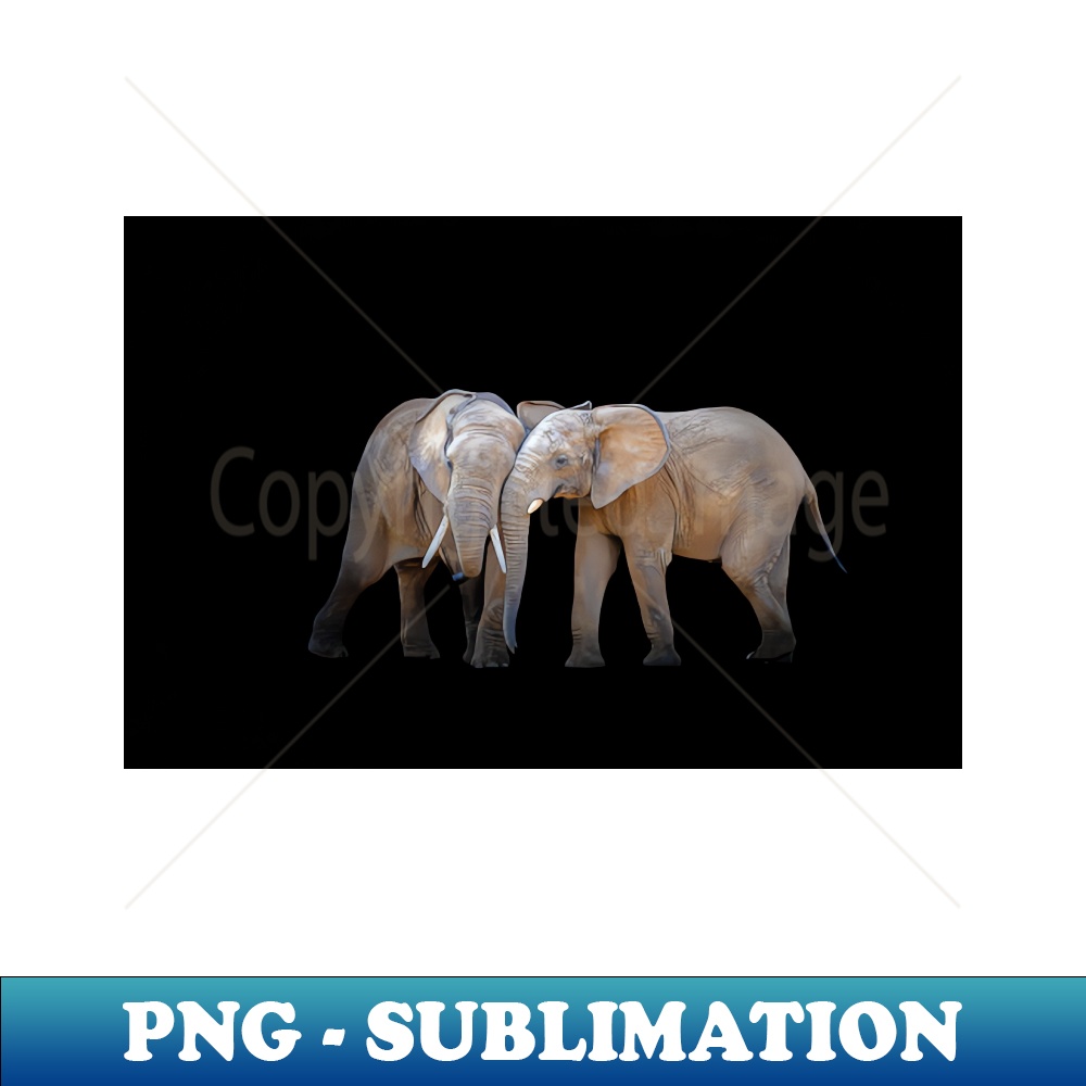 HB-12708_Elephant Animal Wildlife Jungle Nature Africa Adventure Discovery Digital Painting 6999.jpg