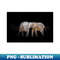 HB-12708_Elephant Animal Wildlife Jungle Nature Africa Adventure Discovery Digital Painting 6999.jpg