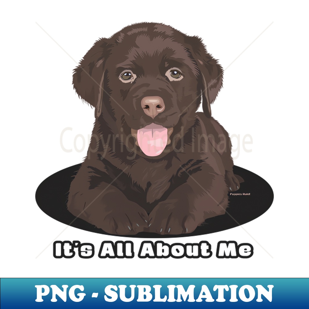 HC-7508_Chocolate Lab Labrador Retriever Puppy Dog Breed All About Me  Puppies Rule  9980.jpg