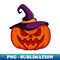 HQ-29206_Pumpkin With Witch Hat 8248.jpg
