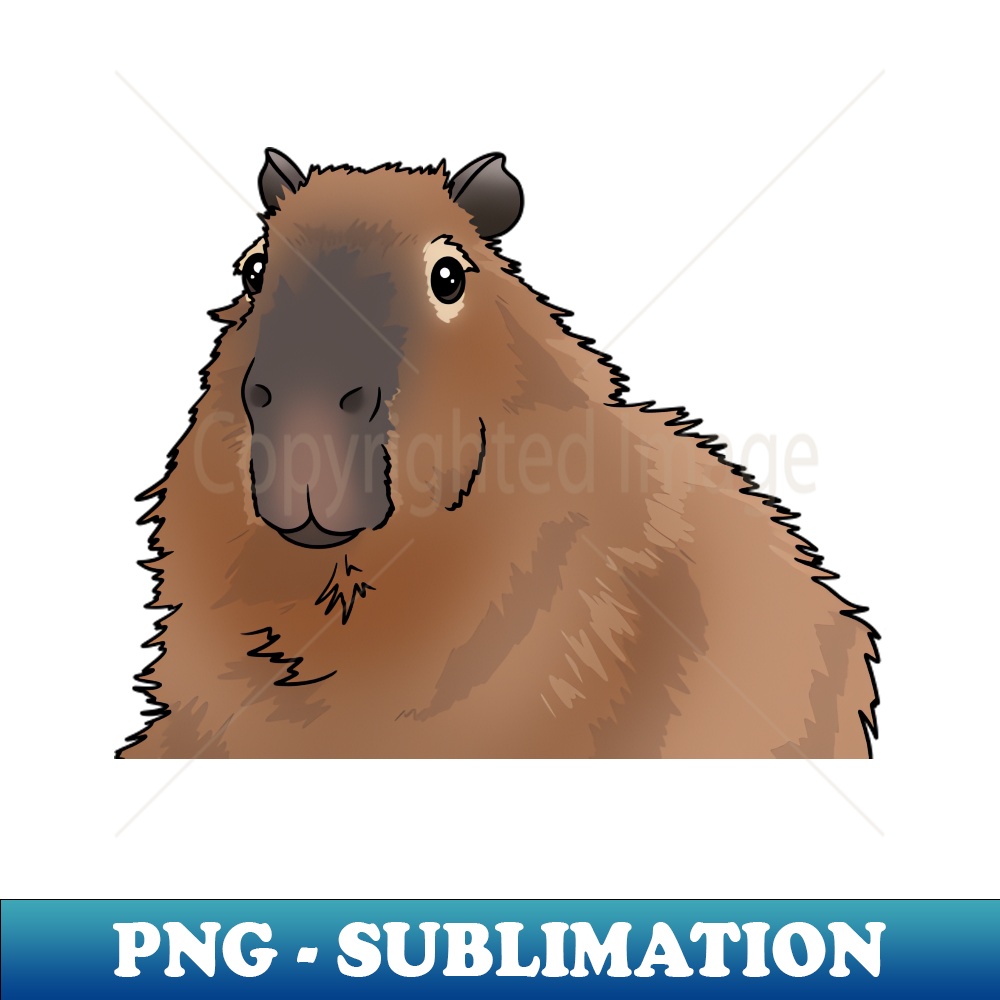 HR-6497_Capybara 7499.jpg