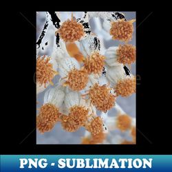 Unique White Bunch Flower Photography My - High-Resolution PNG Sublimation File - Stunning Sublimation Graphics