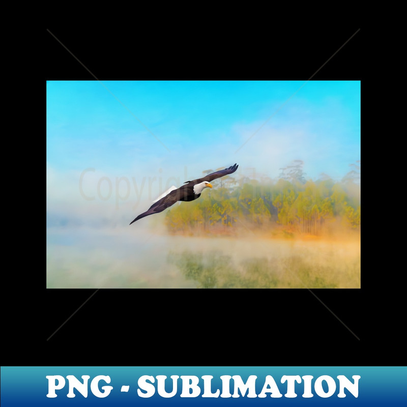 HT-3393_Bald Eagle in Flight 6641.jpg